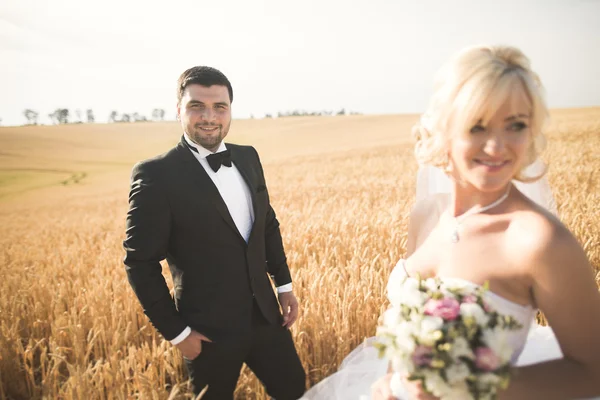 Hermosa pareja de boda, novia y novio posando en el campo de trigo con cielo azul — Foto de Stock