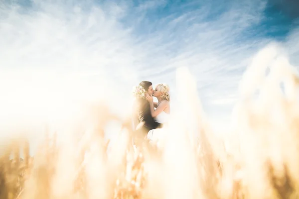 Belo casal no campo, Amantes ou recém-casados posando com céu azul perfeito — Fotografia de Stock