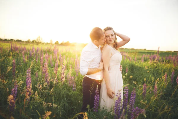 Prachtige paar, bruid, bruidegom zoenen en knuffelen in de veld-zonsondergang — Stockfoto