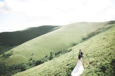 Güzel düğün çift, gelin ve damat, arka planda dağların aşık