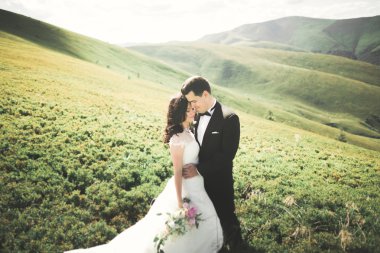 Güzel, mutlu gelin ve şık damat güneşli, çarpıcı dağların arka planında poz veriyor.