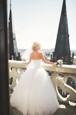 Muhteşem manzaralı balkonda güzel, lüks gelin.