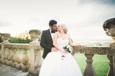 Güzel, romantik bir düğün. Yeni evliler. Eski kalenin yakınlarında sarılıyorlar.