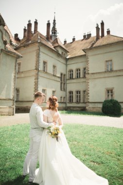 Sadece evli pozlar ve arka plan üzerinde eski bir kale ile öpüşme