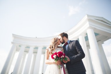 Güzel çift, gelin ve damat büyük beyaz sütun poz