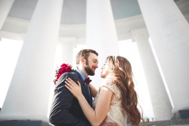 Güzel çift, gelin ve damat büyük beyaz sütun poz