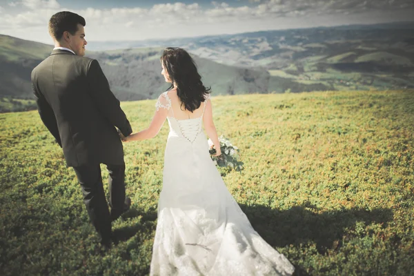 Young wedding couple in love holding hands on the background of mountains — Stock Photo, Image