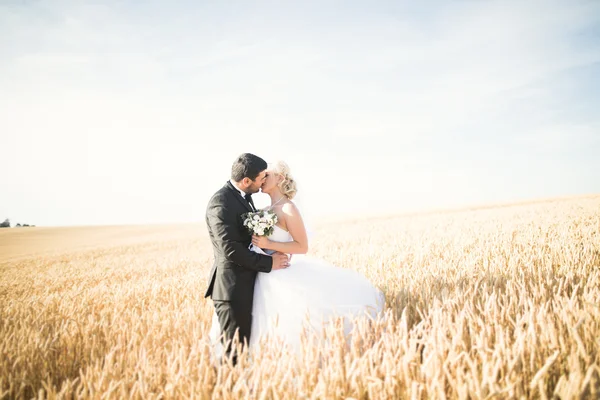Emocional bela noiva abraçando noivo recém-casado em um campo closeup — Fotografia de Stock