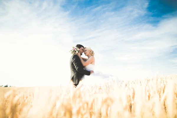 Elegante elegante novia rubia feliz y magnífico novio posando en el campo de trigo en el cielo azul de fondo —  Fotos de Stock