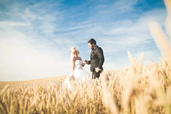 Alanına, aşık veya yeni evli ile poz güzel çift mavi gökyüzü mükemmel — Stok fotoğraf