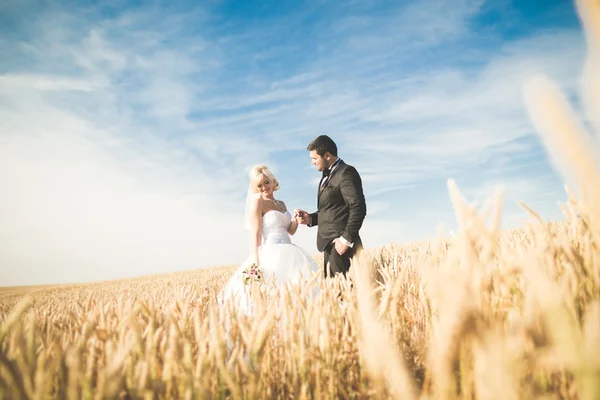 Hermosa pareja en el campo, Amantes o recién casados posando con el cielo azul perfecto — Foto de Stock