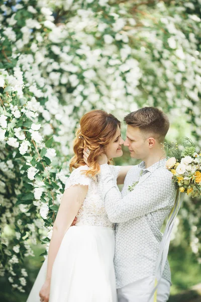 Pareja feliz boda caminando en un parque botánico — Foto de Stock