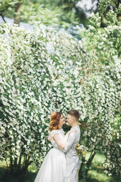 Romantique, conte de fées, couple de jeunes mariés heureux embrassant et embrassant dans un parc, arbres en arrière-plan — Photo