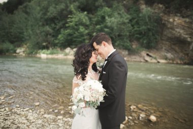 şık şık mutlu esmer gelin ve dağlarda güzel bir şelale arka plan üzerinde muhteşem damat