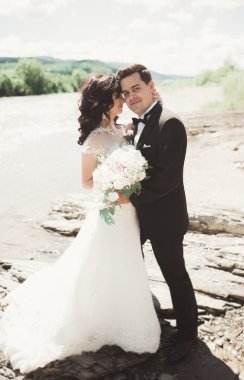 şık şık mutlu esmer gelin ve dağlarda güzel bir şelale arka plan üzerinde muhteşem damat