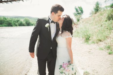 şık şık mutlu esmer gelin ve dağlarda güzel bir şelale arka plan üzerinde muhteşem damat