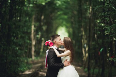 lüks şık genç gelin ve damat üzerinde arka plan bahar güneşli yeşil orman