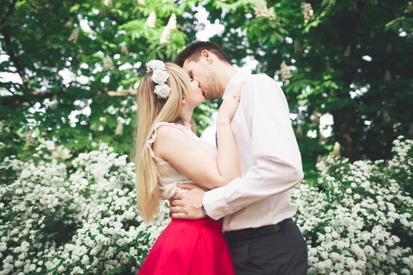 Casal feliz bonito elegante beijando e abraçando no Jardim Botânico — Fotografia de Stock