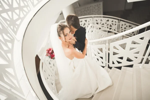 Coppia perfetta sposa, sposo posa e baci nel loro giorno del matrimonio — Foto Stock