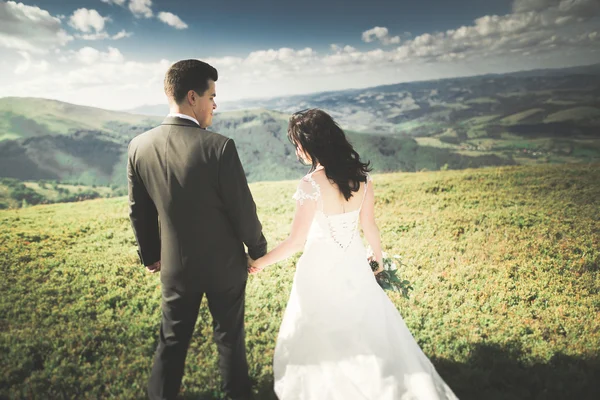 Mladí svatební pár v lásce, drželi se za ruce na pozadí hor — Stock fotografie