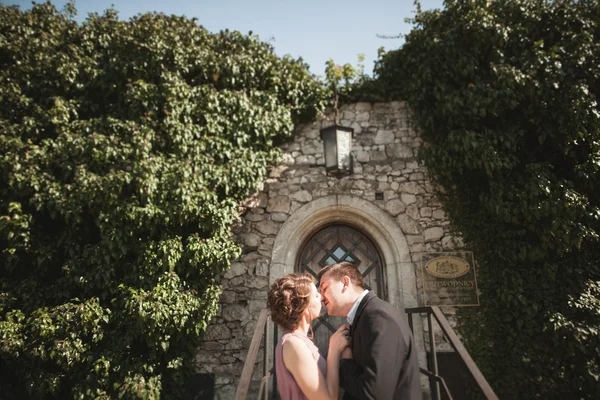 Luxus esküvői pár átölelve és megcsókolta a háttér gyönyörű növények, barlang, ősi kastély közelében — Stock Fotó