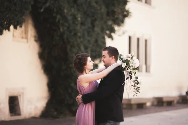 Felice coppia di nozze, sposo, sposa con abito rosa che si abbracciano e si sorridono sulle pareti di sfondo del castello — Foto Stock