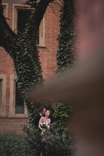 Pareja europea, novia y novio besándose en el parque cerca de árbol grande —  Fotos de Stock