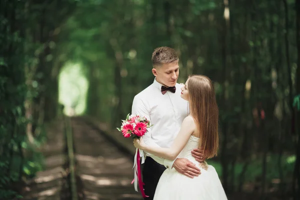 Casal de casamento feliz noivo encantador e noiva perfeita posando no parque — Fotografia de Stock