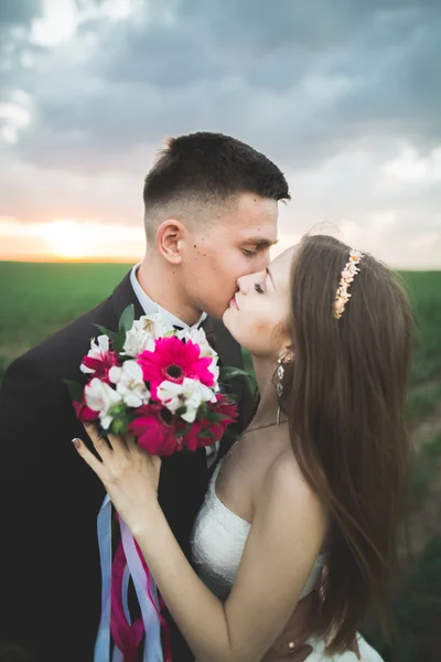 Весілля, красива романтична наречена і наречена цілуються на заході сонця — стокове фото