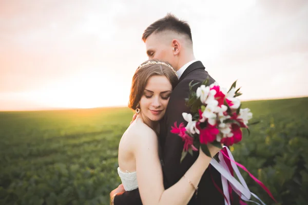 Hermosa pareja de boda, novia y novio posando en el campo durante la puesta del sol — Foto de Stock