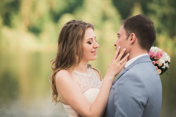 Elegante hermosa pareja de boda posando cerca de un lago al atardecer — Foto de Stock