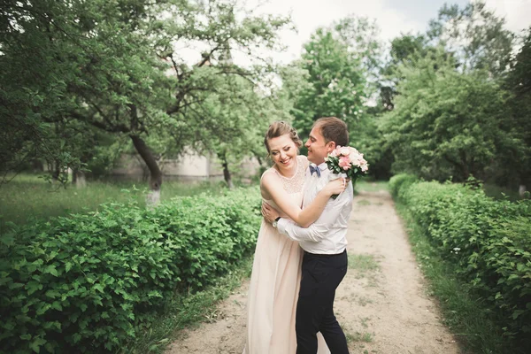 Beautiful wedding couple in park. kiss and hug each other — Stock Photo, Image