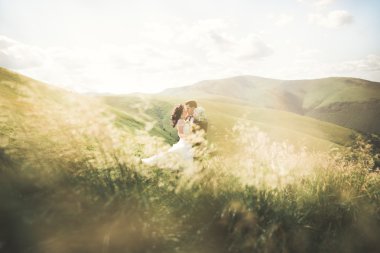 Güzel, mutlu gelin ve şık damat güneşli, çarpıcı dağların arka planında poz veriyor.