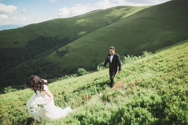 Hermosa pareja de boda, novia y novio, en el amor en el fondo de las montañas —  Fotos de Stock