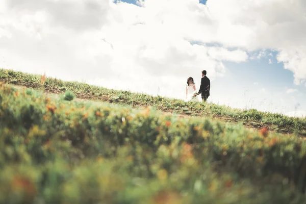 Underbara brudparet eleganta promenader på soliga landskap, brudparet, lyxiga ceremoni berg med fantastisk utsikt, utrymme för text — Stockfoto