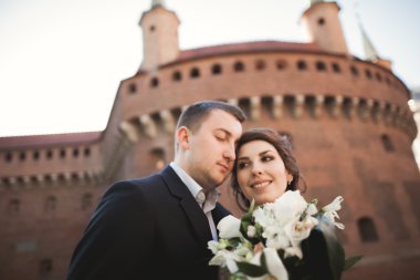 Mutlu düğün çift, damat, Gelin pembe elbise ile sarılma ve birbirlerine arka plan üzerinde gülümseyen duvarlar kalede