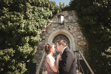 Sarılma ve öpüşme arka plan güzel bitkiler üzerinde lüks Düğün çifti mağara antik kale