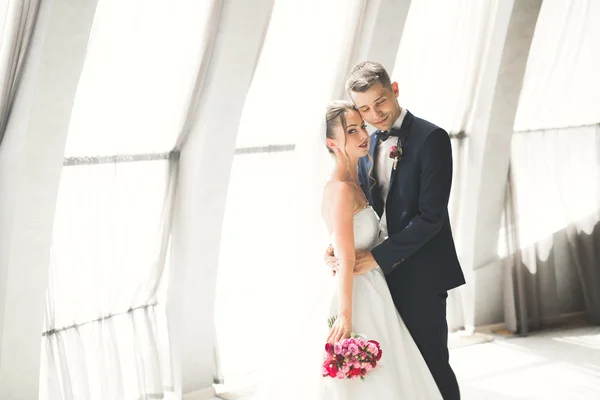 Ідеальна пара наречених, позування нареченого і поцілунки в день весілля — стокове фото