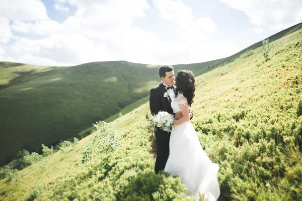 Mooie bruidspaar, bruid en bruidegom, verliefd op de achtergrond van bergen — Stockfoto