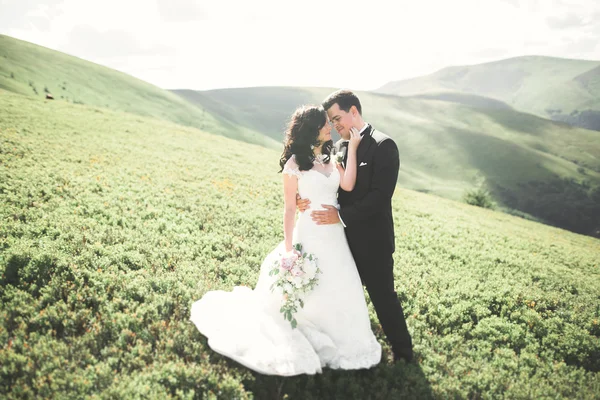 Casal de casamento bonito, noiva e noivo, apaixonado no fundo das montanhas — Fotografia de Stock