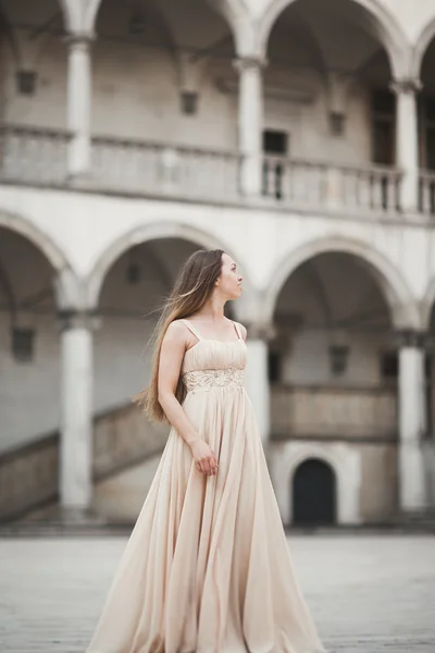 Hermosa chica, modelo con el pelo largo posando en el viejo castillo cerca de columnas. Cracovia Vavel — Foto de Stock