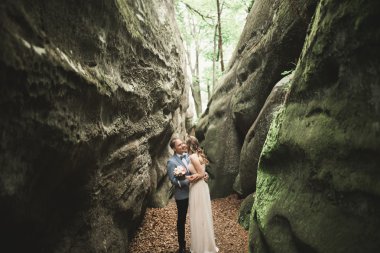 Muhteşem düğün çift öpüşme ve orman büyük kayalar ile sarılma