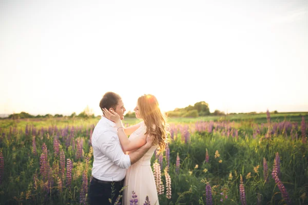 Sposa tiene sposi collo mentre lui la bacia nei raggi del tramonto — Foto Stock