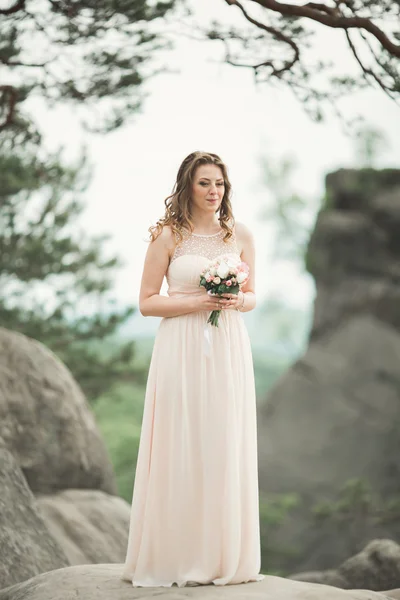 Bella sposa posa vicino rocce sullo sfondo le montagne — Foto Stock