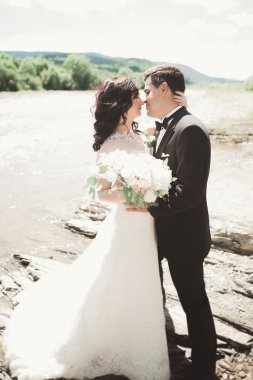 şık şık mutlu esmer gelin ve dağlarda güzel bir şelale arka plan üzerinde muhteşem damat