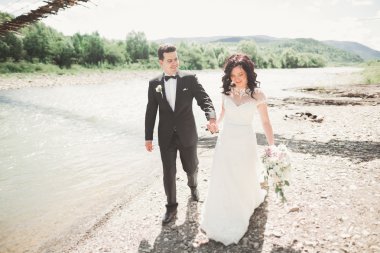 şık şık mutlu esmer gelin ve dağlarda güzel bir şelale arka plan üzerinde muhteşem damat