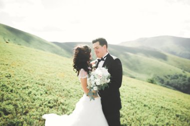 Güzel düğün çift, gelin ve damat, arka planda dağların aşık