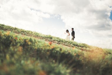 Güzel düğün çift, gelin ve damat, arka planda dağların aşık