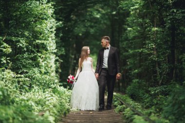 Mutlu düğün çift büyüleyici damat ve mükemmel gelin parkta poz