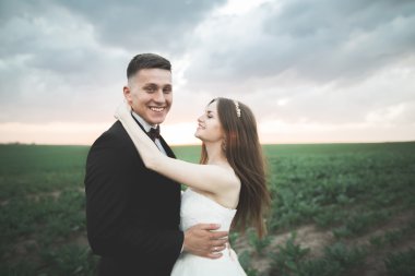 Alanına, aşık veya yeni evli mükemmel gökyüzü günbatımı poz güzel Çift